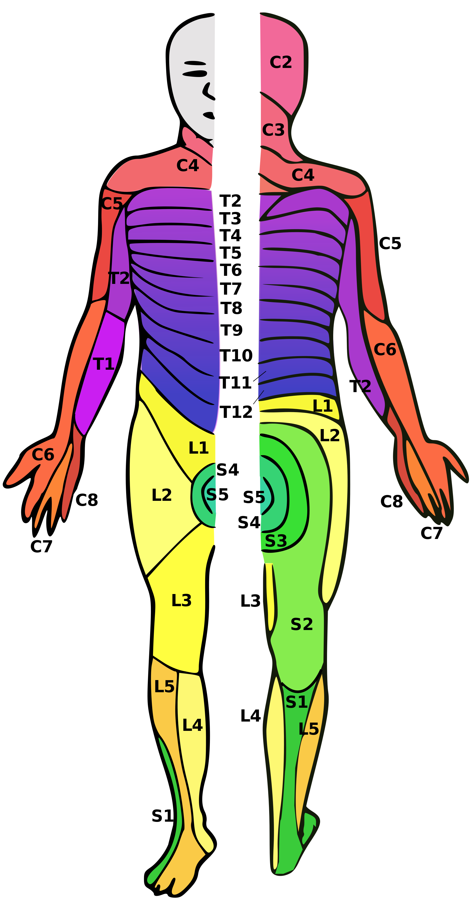Spine Model FAQ Spine Model Documentation And Wiki