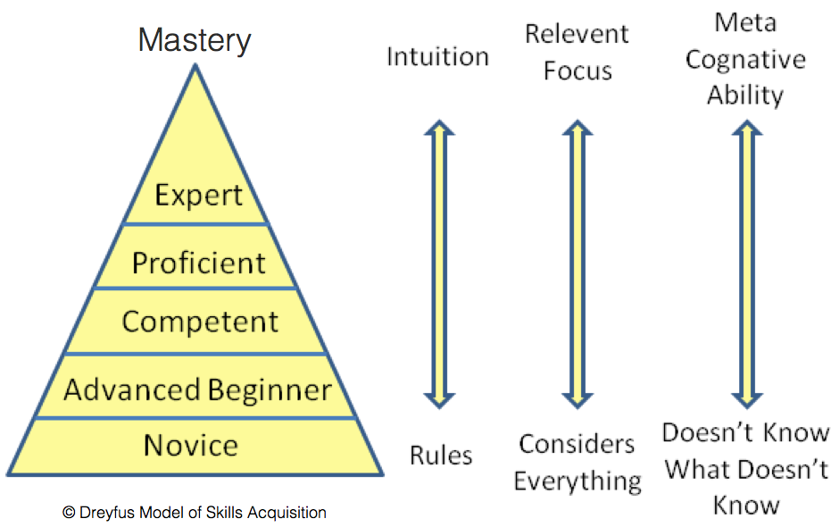 Dreyfus Model